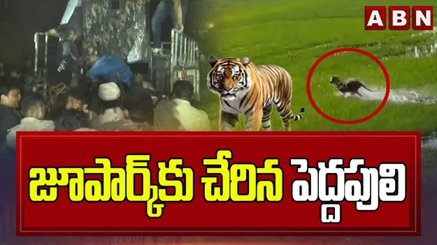 విశాఖ జూపార్క్‌కు చేరిన పెద్దపులి