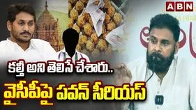 సిట్‌ రిపోర్ట్‌లో జంతువుల కొవ్వు ఉందని స్పష్టంగా ఉంది: పవన్‌