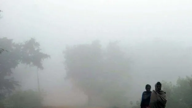 కోస్తాలో పొగమంచు