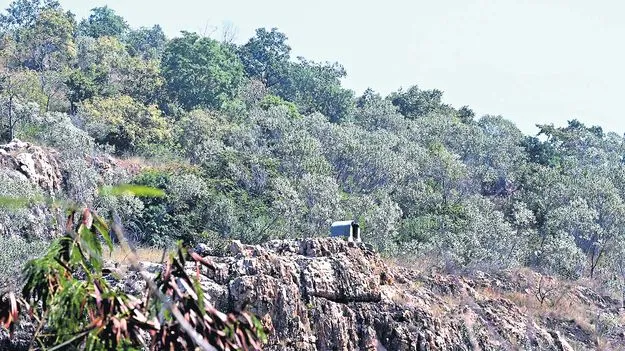 తిరుమల గిరులకు  పచ్చని ముప్పు..!