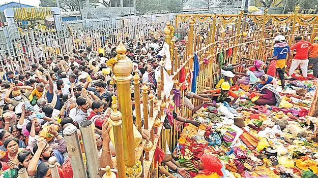 తెగిన 14 లక్షల కోళ్లు, గొర్రెలు