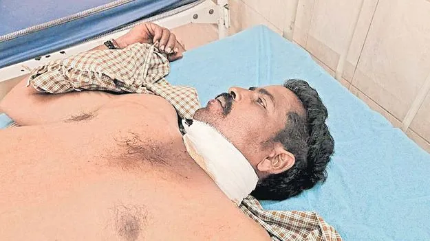 Krishna District: కోడి పందేల్లో వికృతం!