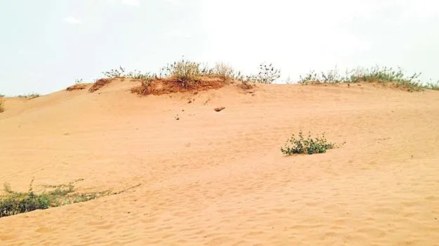 ఎడారీకరణ.. నియంత్రణ..!