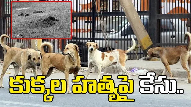 వీధి  కుక్కల హత్యలపై యాచారం పోలీస్ స్టేషన్‌లో కేసు నమోదు