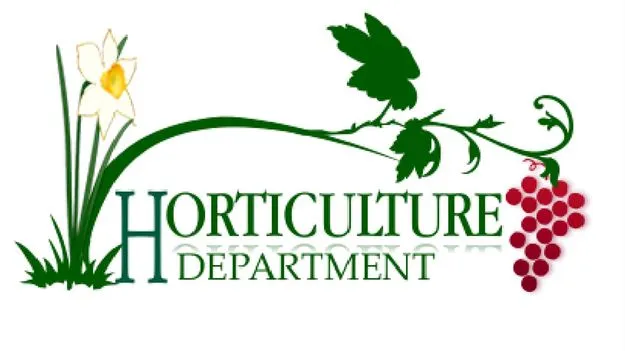 పండ్ల ఉత్పత్తులపై రైతు సదస్సులు