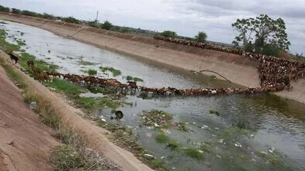 కేసీ కెనాల్‌కు రబీలోనూ నీరు
