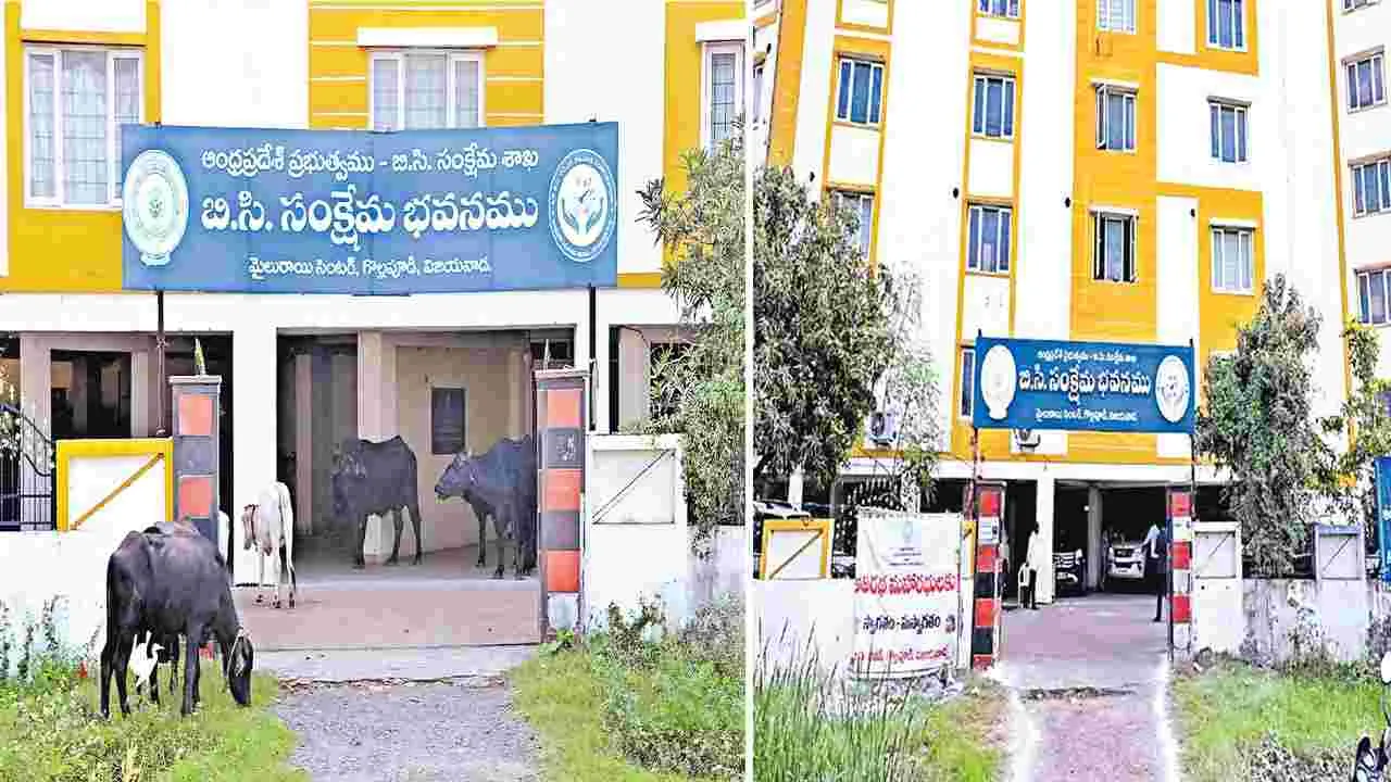 నాడు బర్రెలతో వెలవెల.. నేడు కార్ల కళకళ
