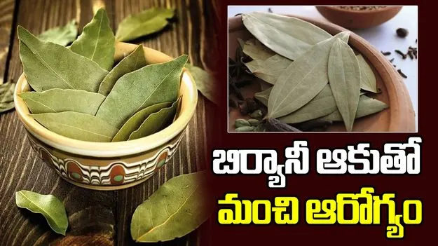 బిర్యానీ ఆకు కేవలం సువాసనకే కాదు.. ఆరోగ్యానికి ఎంతో మంచిది