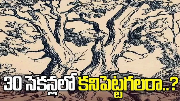 Optical Illusion: మీవి డేగ కళ్లు అయితే.. ఈ ఫొటోలో ఉన్న ముగ్గురిని 30 సెకెన్లలో కనిపెట్టండి..