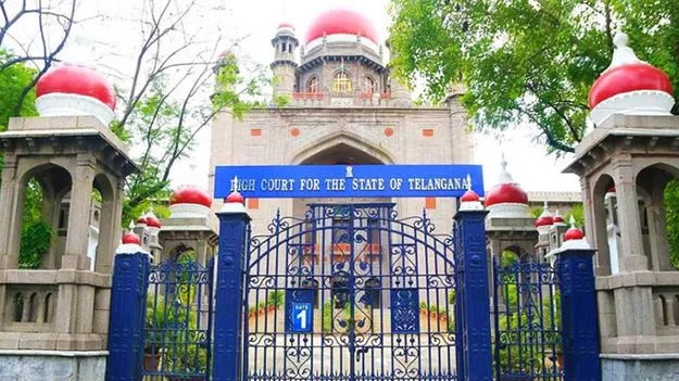 భారత్‌లోని పాక్‌ జాతీయులకు లాంగ్‌టర్మ్‌ వీసా ఉండాల్సిందే : హైకోర్టు