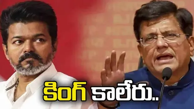 విజయ్ ఓట్లు చీల్చే వ్యక్తే కానీ కింగ్ కాలేరు.. కేంద్ర మంత్రి పీయూష్ గోయెల్ 