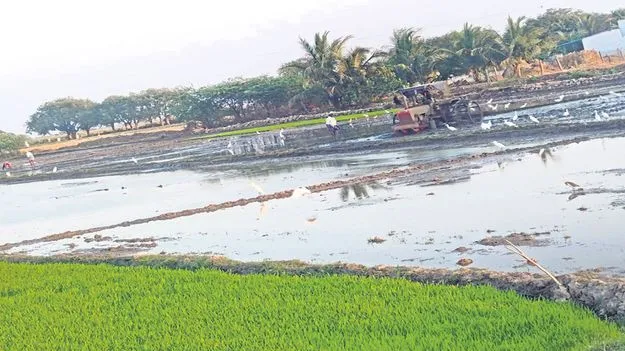 జోరుగా వ్యవసాయ పనులు 