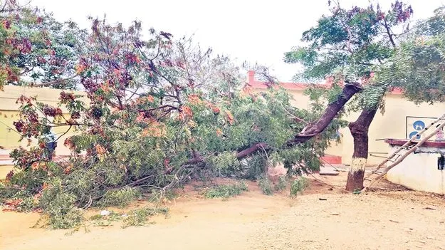 తప్పిన పెను ప్రమాదం