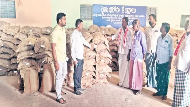 ‘కందులు త్వరగా కొనుగోలు చేయండి’