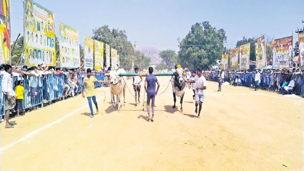 పోటాపోటీగా రాతిదూలం లాగుడు పోటీలు