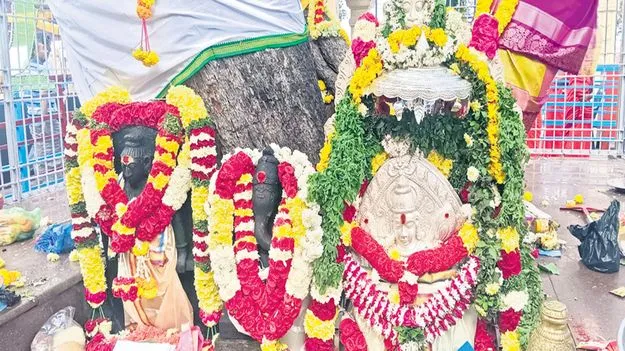 ఘనంగా అశ్వత్థ నారాయణస్వామి బ్రహ్మోత్సవాలు