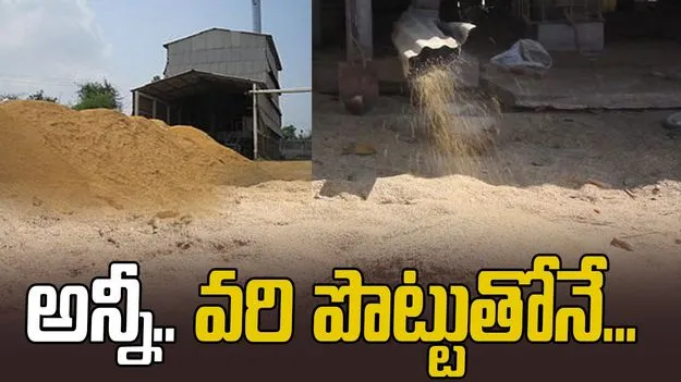 AP News: అన్నీ.. వరి పొట్టుతోనే...