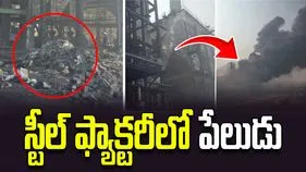 స్టీల్ ఫ్యాక్టరీలో భారీ పేలుడు.. ఆరుగురి కార్మికుల మృతి