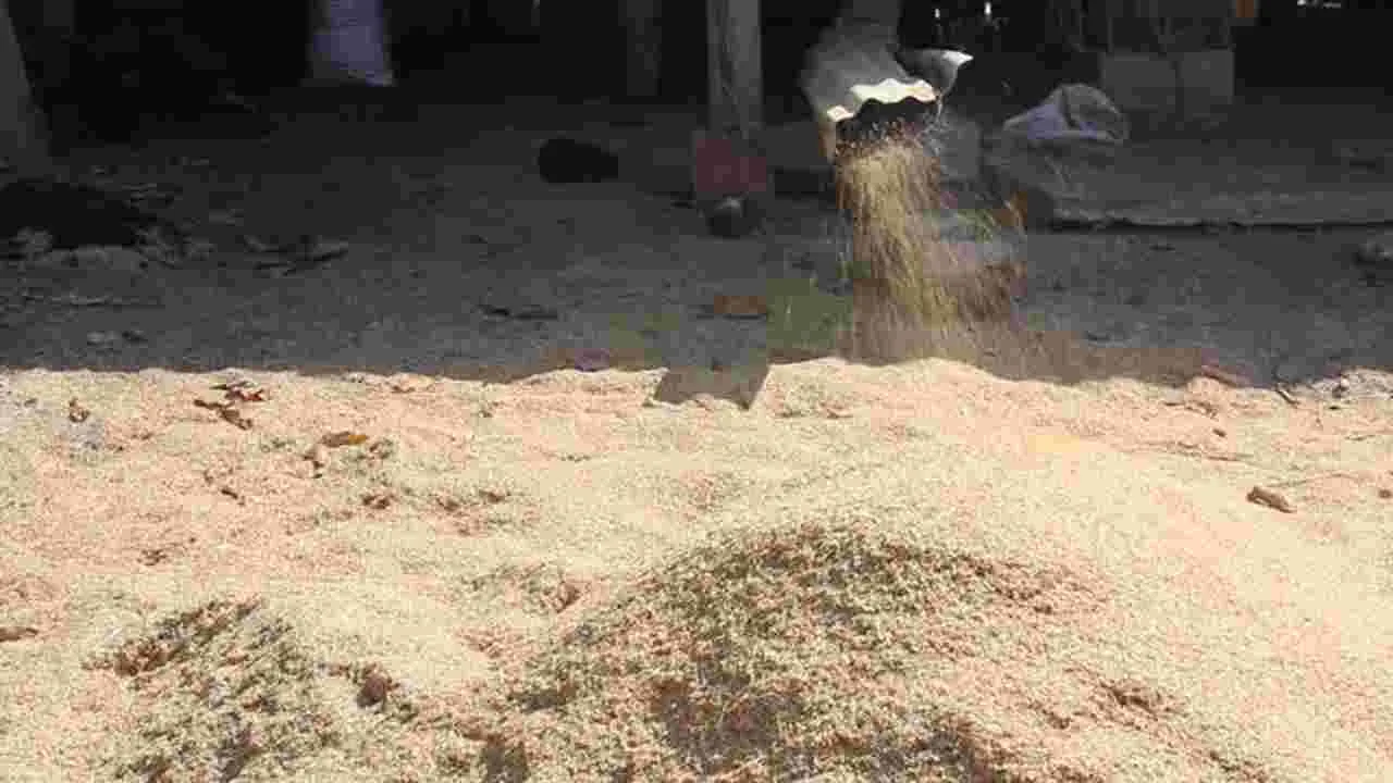 Lifestyle: అన్నీ.. వరి పొట్టుతోనే...