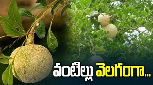 వంటిల్లు వెలగంగా..