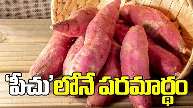 ‘పీచు’లోనే పరమార్థం 