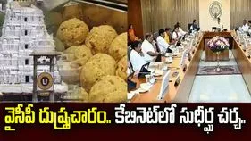 టీటీడీ నెయ్యి కల్తీపై నివేదికపై ఏపీ కేబినెట్‌లో చర్చ