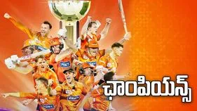 బిగ్ బాష్ లీగ్.. ఛాంపియన్‌గా నిలిచిన పెర్త్ స్కార్చర్స్