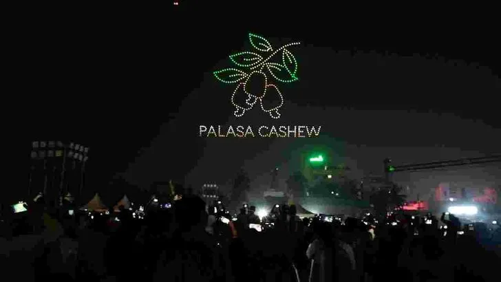 రథసప్తమి వేడుకల్లో అద్భుతమైన డ్రోన్ షో