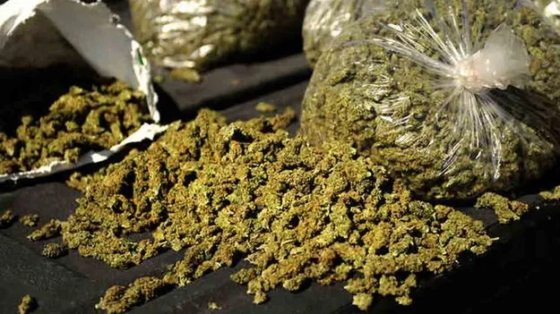 భాగ్యనగరంలో భారీ డ్రగ్స్ రాకెట్ గుట్టురట్టు..