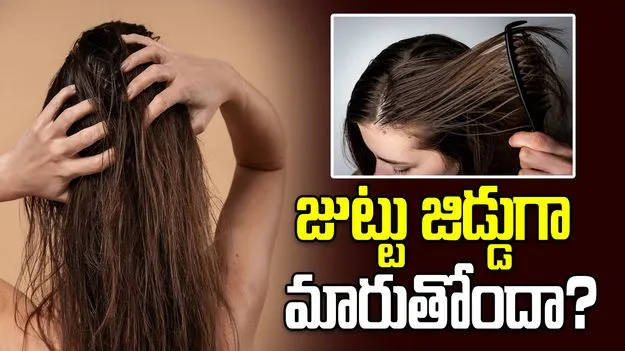 తలస్నానం చేసిన రెండో రోజే మీ జుట్టు జిడ్డుగా మారుతోందా?