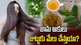 జామ ఆకులు జుట్టుకు ఉపయోగపడతాయా?