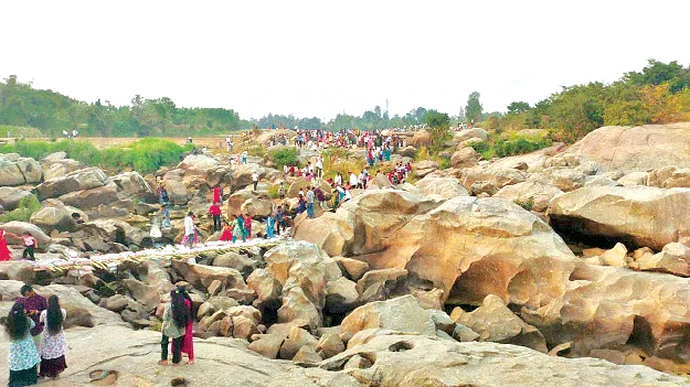 Sankranti Celebrations  సంక్రాంతి సంబరం