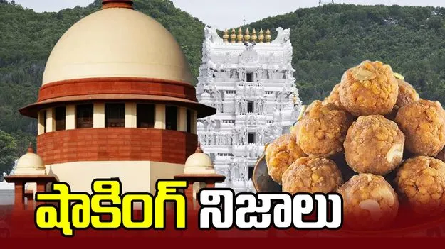 తిరుమల లడ్డూ కల్తీ నెయ్యి వ్యవహారం.. SIT నివేదికలో షాకింగ్ విషయాలు