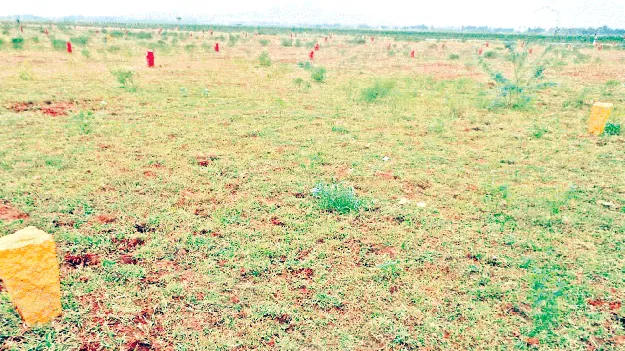 పెరగనున్న భూముల విలువ