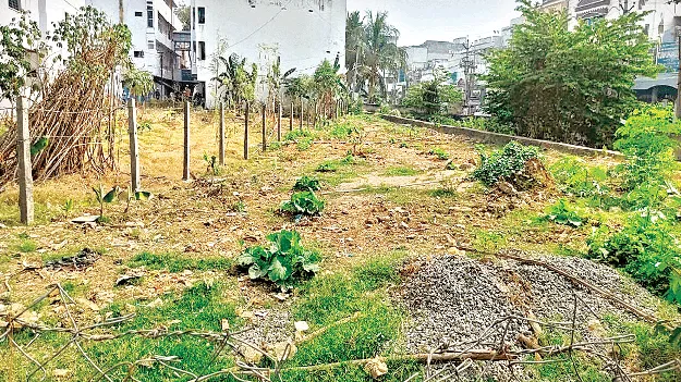   Government Land… So What? ప్రభుత్వ స్థలమా.. అయితే ఏంటంట?