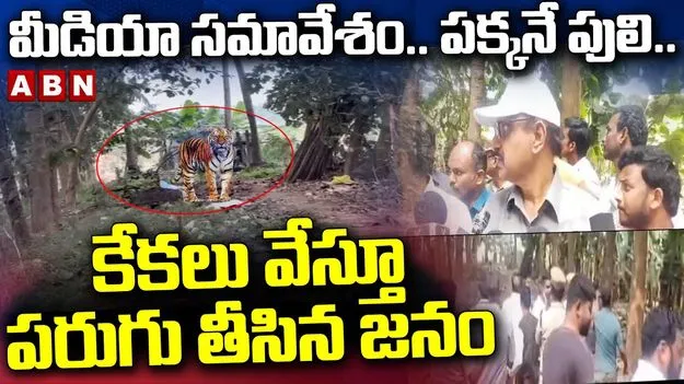 రెండు తెలుగు రాష్ట్రాల్లో పులుల కలకలం.. భయం గుప్పిట్లో జనం