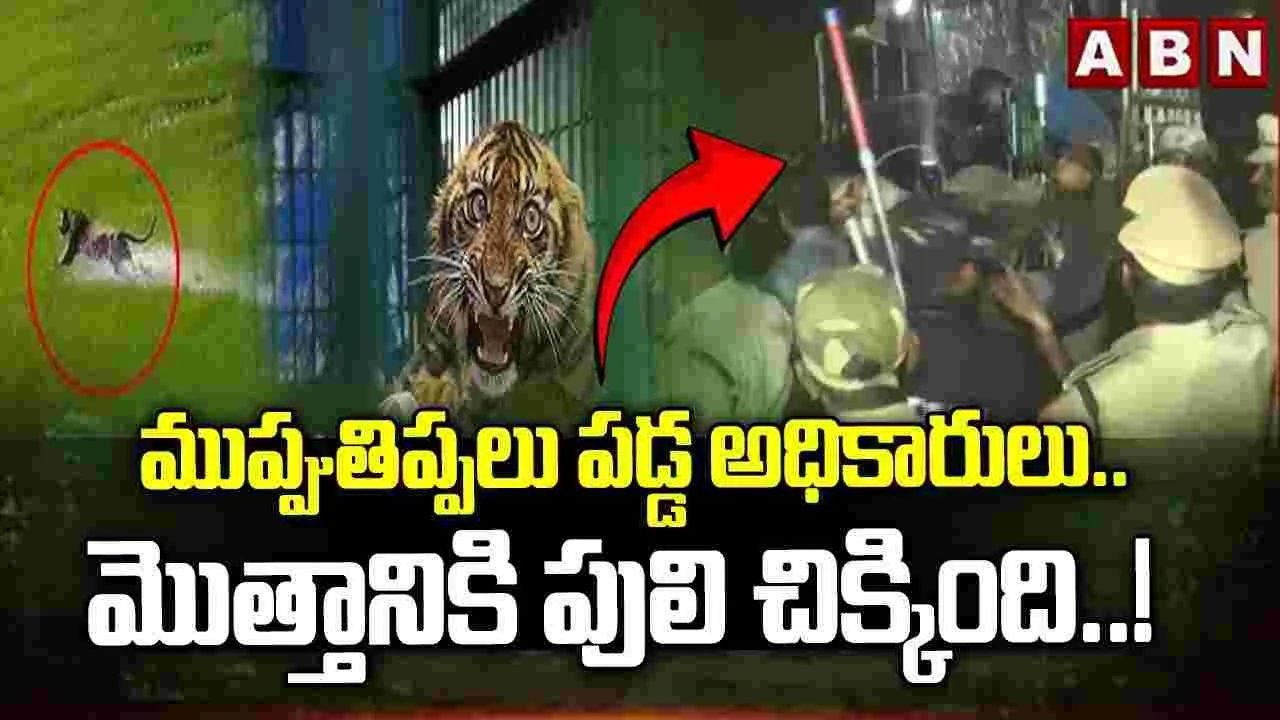 అటవీ శాఖ భారీ రెస్క్యూ.. ఆపరేషన్ టైగర్ విజయవంతం..