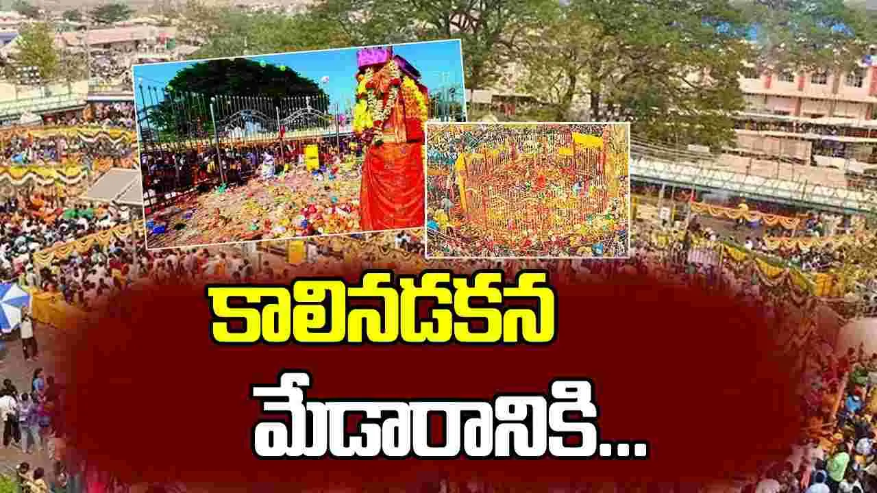 కాలినడకన మేడారానికి...