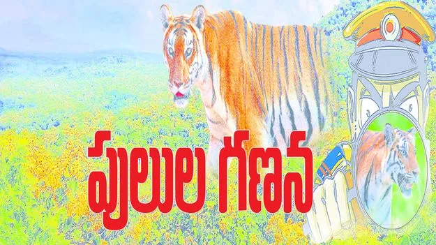 నేటి నుంచి పులుల గణన...