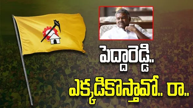  పెద్దారెడ్డి.. ఎక్కడికొస్తావో.. రా..