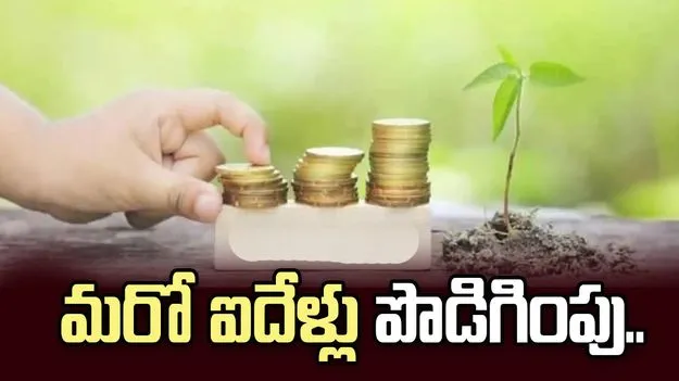 మరో ఐదేళ్లు అటల్ పెన్షన్ యోజన పథకం పొడిగింపు.. కేంద్ర కేబినెట్ నిర్ణయం