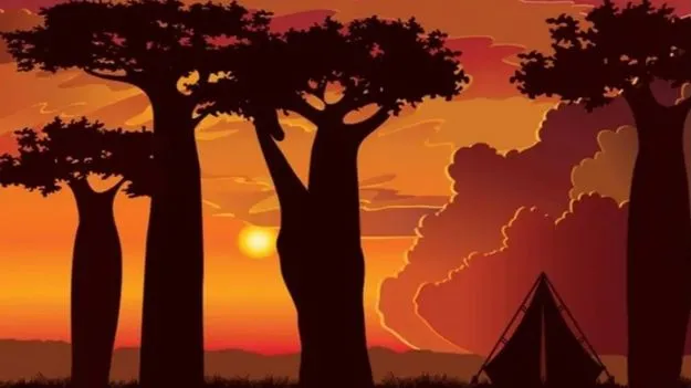 మీ బ్రెయిన్‌కు సూపర్ టెస్ట్.. ఈ ఫొటోలో జిరాఫీ ఎక్కడుందో 5 సెకెన్లలో కనిపెట్టండి..