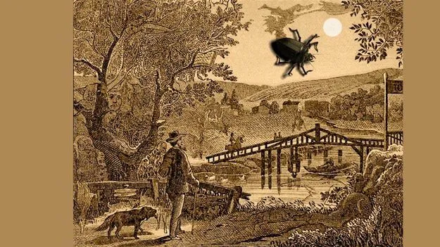 మీ కళ్లు చురుకైనవి అయితే.. ఈ ఫొటోలో చేప ఎక్కడుందో 20 సెకెన్లలో కనిపెట్టండి!