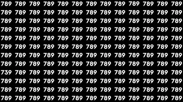 మీ కళ్లు చురుకైనవి అయితే.. ఈ ఫొటోలో 789ల మధ్య 739 ఎక్కడుందో 30 సెకెన్లలో కనిపెట్టండి!