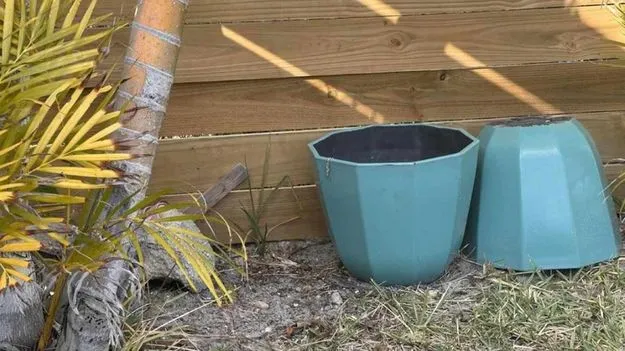 మీ కళ్ల షార్ప్‌నెస్‌‌కు టెస్ట్.. ఈ ఫొటోలో బల్లిని 15 సెకెన్లలో కనిపెట్టండి..