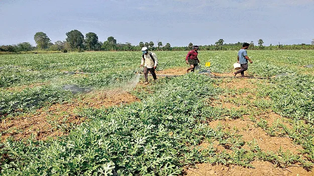   ‘Sagu’  ఆదర్శంగా ‘సాగు’తూ..