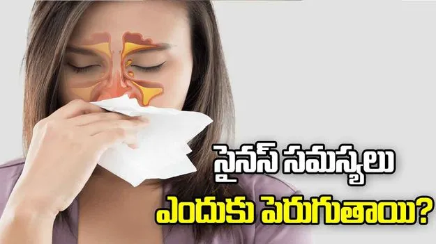 శీతాకాలంలో సైనస్ సమస్యలు ఎందుకు పెరుగుతాయి?