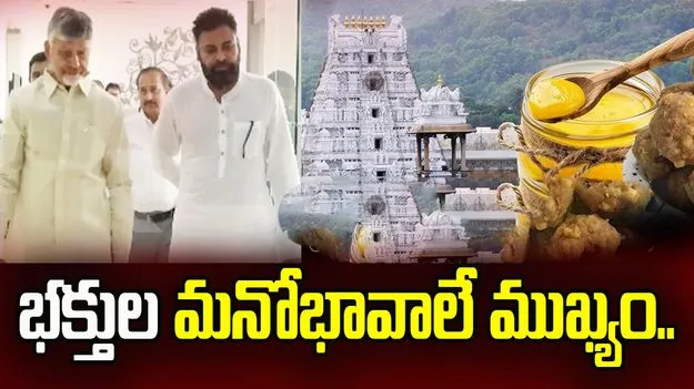 తిరుమల పవిత్రతను కాపాడి తీరుతాం.. ఎన్డీయే నేతలతో సీఎం చంద్రబాబు 