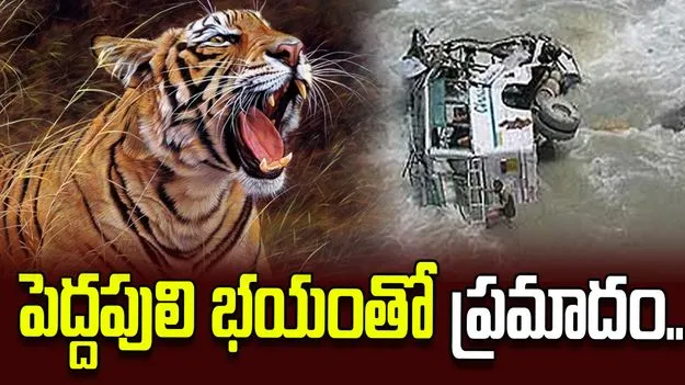 నల్లమల అడవుల్లో పెద్దపులి భయం.. వాగులోకి దూసుకెళ్లిన వాహనం..