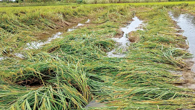 Still Pending! ఇంకా జమకాలే!